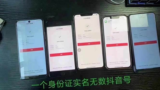图片[2]|抖音无限实名技术：一个SFZ号码可以十名无数个抖音账号，具体自己实操|无忧资源社