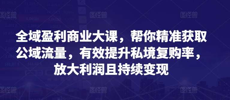 全域盈利商业大课，帮你精准获取公域流量，有效提升私境复购率，放大利润且持续变现|无忧资源社
