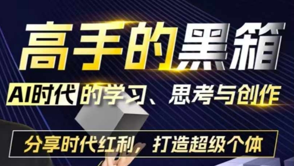 高手的黑箱：AI时代学习、思考与创作-分红时代红利，打造超级个体|无忧资源社