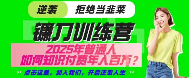 【网创项目终点站-镰刀训练营超级IP合伙人】25年普通人如何通过知识付费实现逆袭【揭秘】|无忧资源社