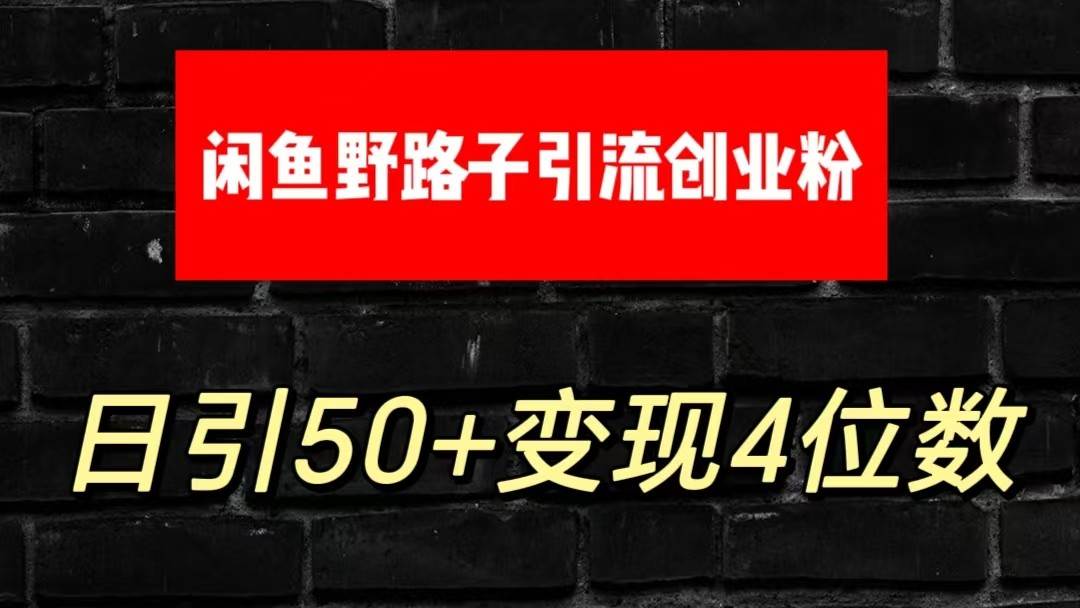 大眼闲鱼野路子引流创业粉，日引50+单日变现四位数|无忧资源社