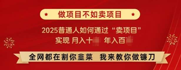 必看，做项目不如卖项目，2025普通人如何通过“卖项目”实现月入十个，年入百个|无忧资源社