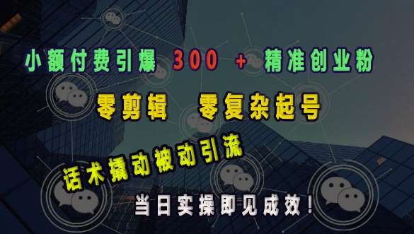 小额付费引爆 300 + 精准创业粉，零剪辑、零复杂起号，话术撬动被动引流，当日实操即见成效|无忧资源社