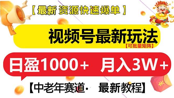 （13530期）视频号最新玩法 中老年赛道 月入3W+|无忧资源社