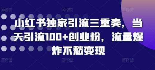 小红书独家引流三重奏，当天引流100+创业粉，流量爆炸不愁变现【揭秘】|无忧资源社