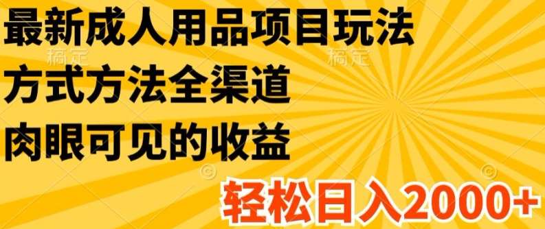 最新成人用品项目玩法，方式方法全渠道，轻松日入2K+【揭秘】|无忧资源社