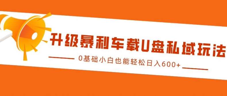 升级暴利车载U盘私域玩法，0基础小白也能轻松日入多张【揭秘】|无忧资源社