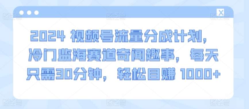 2024视频号流量分成计划，冷门监海赛道奇闻趣事，每天只需30分钟，轻松目赚 1000+【揭秘】|无忧资源社