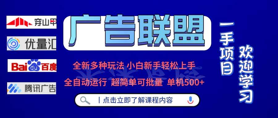 （13258期）广告联盟 全新多种玩法 单机500+  全自动运行  可批量运行|无忧资源社