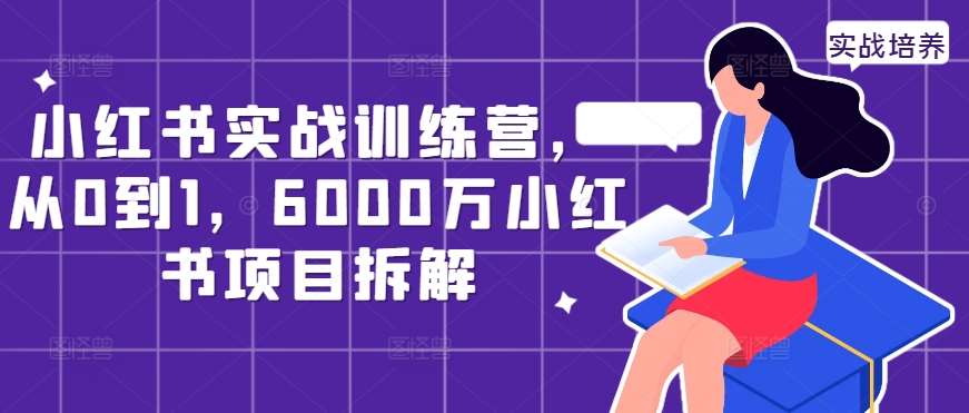 小红书实战训练营，从0到1，6000万小红书项目拆解|无忧资源社