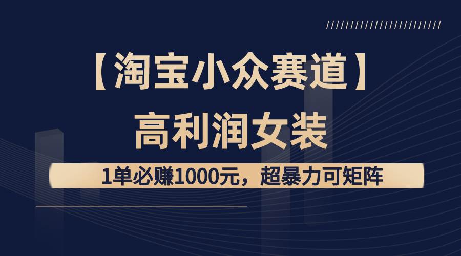 （8608期）【淘宝小众赛道】高利润女装：1单必赚1000元，超暴力可矩阵|无忧资源社