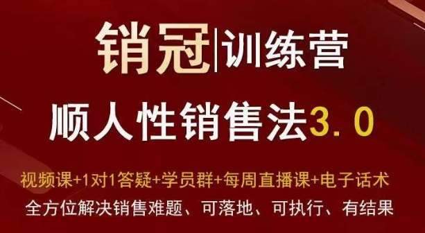 爆款！销冠训练营3.0之顺人性销售法，全方位解决销售难题、可落地、可执行、有结果|无忧资源社
