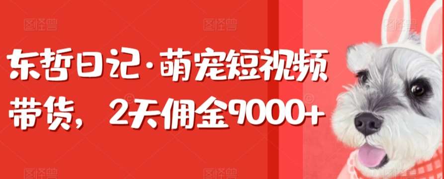 东哲日记·萌宠短视频带货，2天佣金9000+|无忧资源社