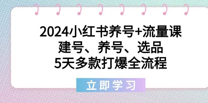 （8974期）2024小红书养号+流量课：建号、养号、选品，5天多款打爆全流程|无忧资源社
