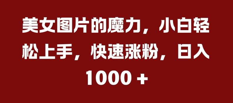 美女图片的魔力，小白轻松上手，快速涨粉，日入几张【揭秘】|无忧资源社