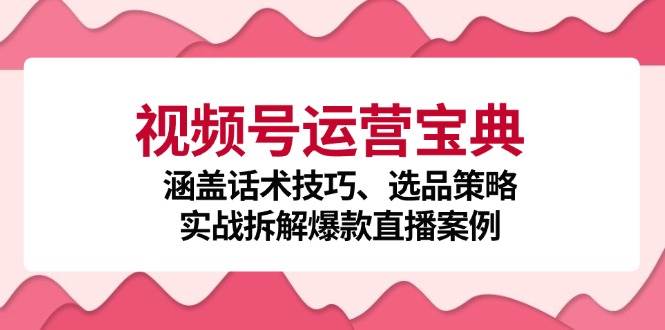 视频号运营宝典：涵盖话术技巧、选品策略、实战拆解爆款直播案例|无忧资源社