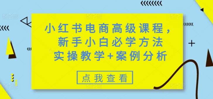 小红书电商高级课程，新手小白必学方法，实操教学+案例分析|无忧资源社