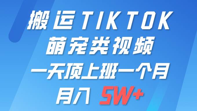 （9931期）一键搬运TIKTOK萌宠类视频 一部手机即可操作 所有平台均可发布 轻松月入5W+|无忧资源社