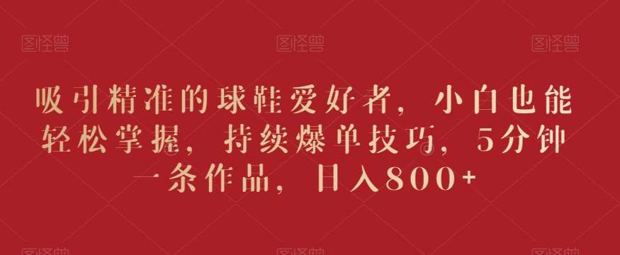 吸引精准的球鞋爱好者，小白也能轻松掌握，持续爆单技巧，5分钟一条作品，日入800+【揭秘】|无忧资源社