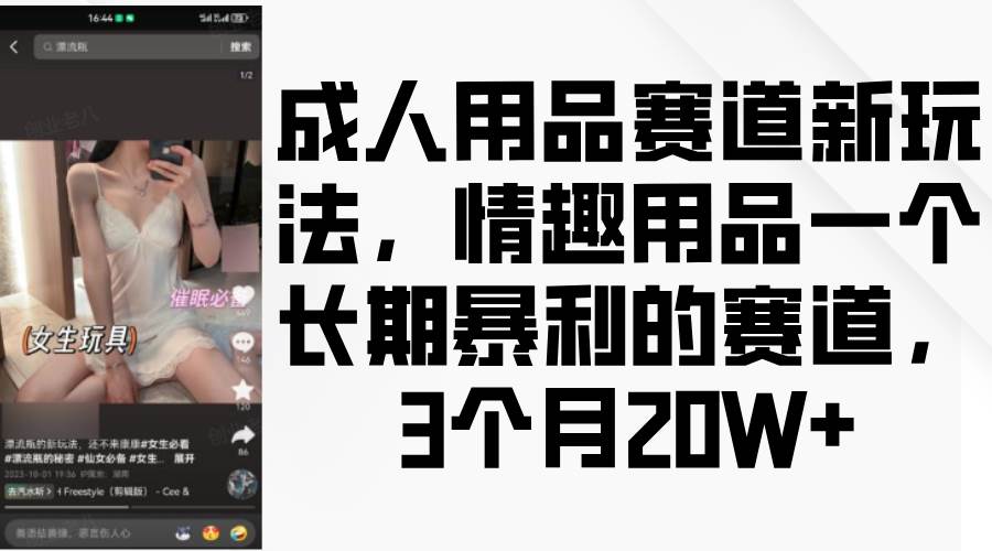 成人用品赛道新玩法，情趣用品一个长期暴利的赛道，3个月20W+|无忧资源社