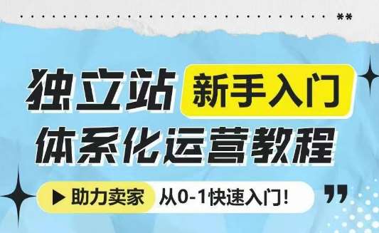独立站新手入门体系化运营教程，助力独立站卖家从0-1快速入门!|无忧资源社