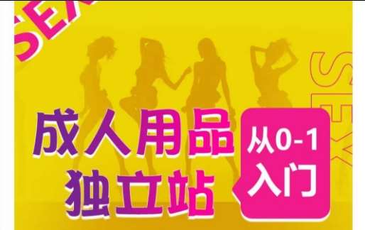 成人用品独立站从0-1入门，成品独立站运营全流程教学，七大好卖成品独立站推荐|无忧资源社