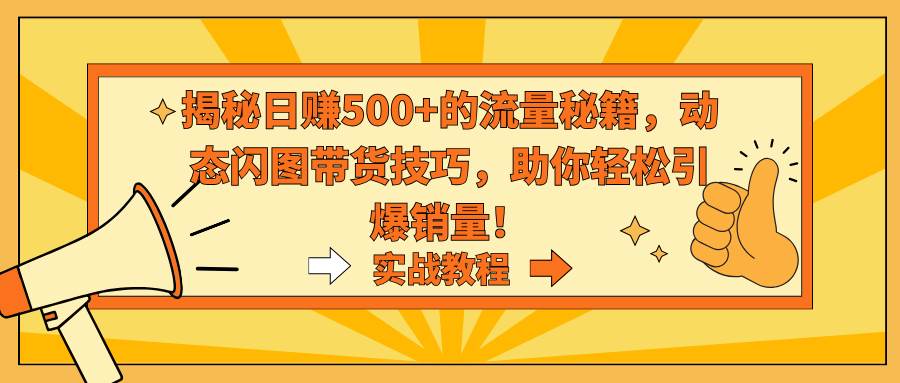 （9058期）揭秘日赚500+的流量秘籍，动态闪图带货技巧，助你轻松引爆销量！|无忧资源社