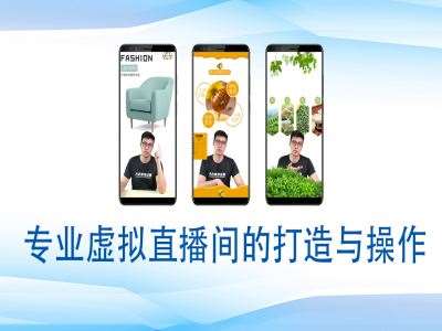 个人虚拟直播间的搭建与操作，专业虚拟直播间的打造与操作|无忧资源社