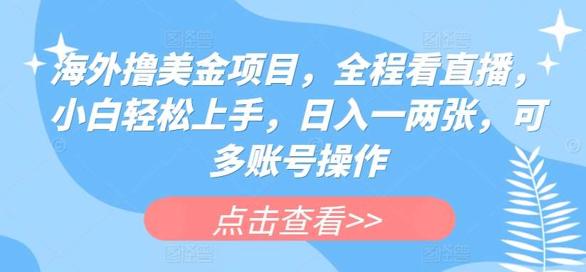 海外撸美金项目，全程看直播，小白轻松上手，日入一两张，可多账号操作【揭秘】|无忧资源社