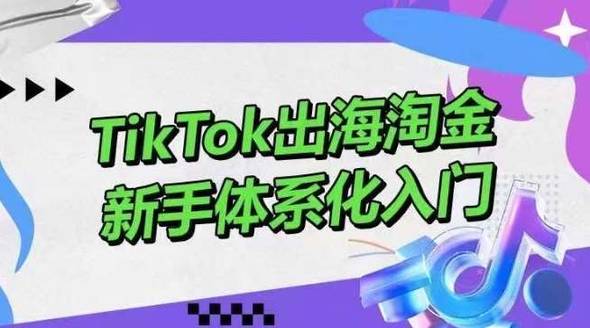 TikTok出海淘金，新手体系化入门，零基础快速入门，掌握短视频、直播带货等引流到变现的知识|无忧资源社