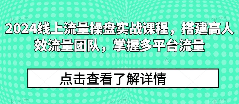 2024线上流量操盘实战课程，搭建高人效流量团队，掌握多平台流量|无忧资源社