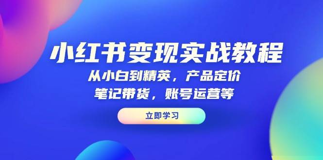 （13923期）小红书变现实战教程：从小白到精英，产品定价，笔记带货，账号运营等|无忧资源社