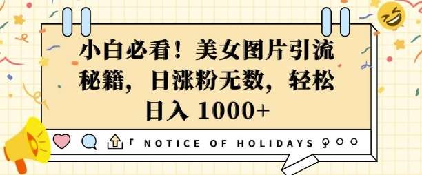 小白必看，美女图片引流秘籍，日涨粉无数，轻松日入几张【揭秘】|无忧资源社