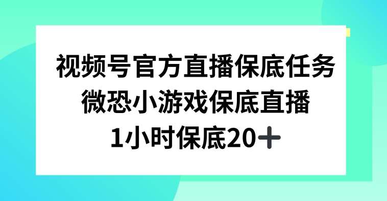 视频号直播任务，微恐小游戏，1小时20+【揭秘】|无忧资源社