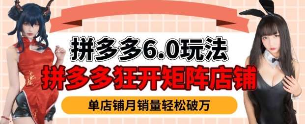 拼多多虚拟商品暴利6.0玩法，轻松实现月入过W|无忧资源社