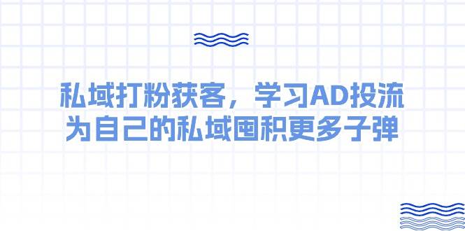 （10728期）某收费课：私域打粉获客，学习AD投流，为自己的私域囤积更多子弹|无忧资源社