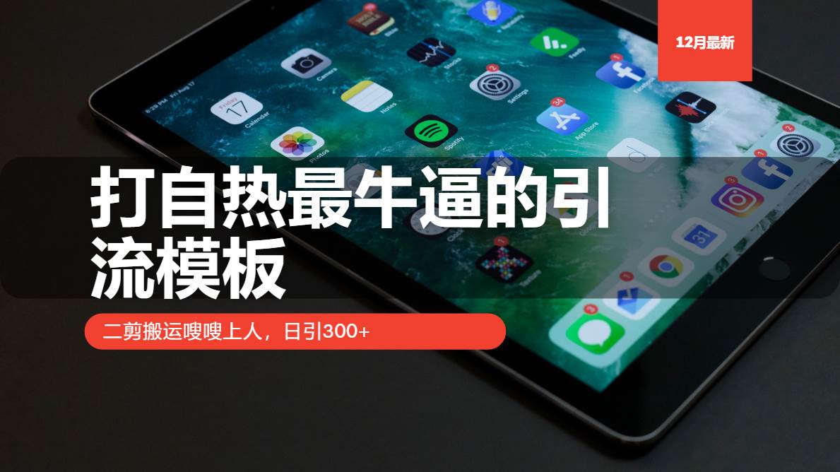 （13654期）打自热最牛逼的引流模板，二剪搬运嗖嗖上人，日引300+|无忧资源社