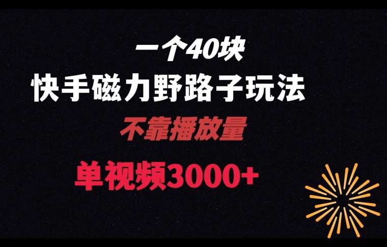 一个40块，快手联合美团磁力新玩法，无视机制野路子玩法，单视频收益4位数【揭秘】|无忧资源社