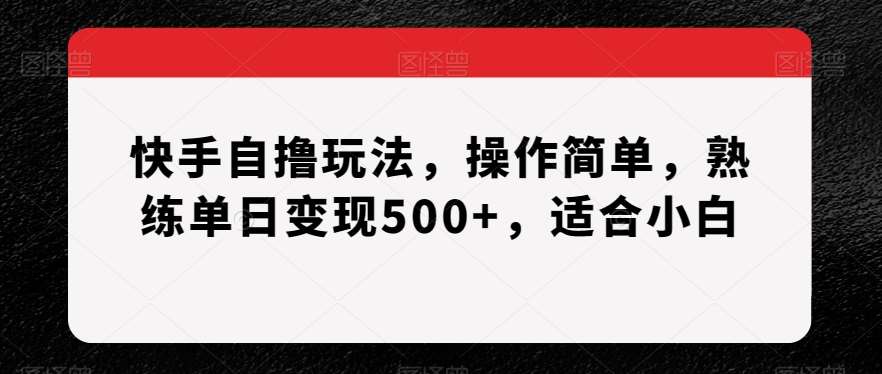 快手自撸玩法，操作简单，熟练单日变现500+，适合小白【揭秘】|无忧资源社