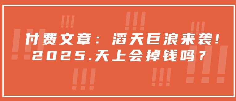 付费文章：滔天巨浪来袭！2025天上会掉钱吗？|无忧资源社