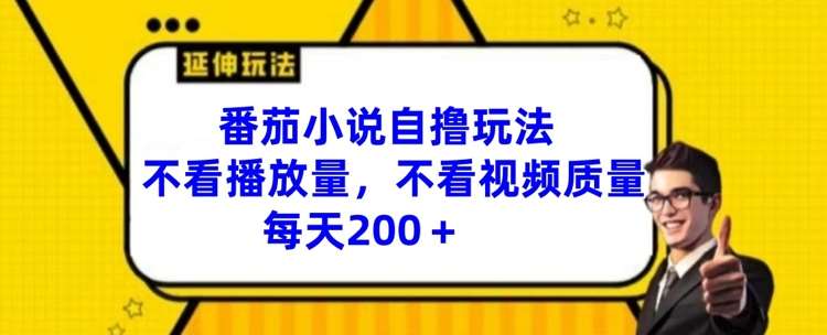 番茄小说自撸玩法，不看播放量，不看视频质量，每天200+【揭秘】|无忧资源社