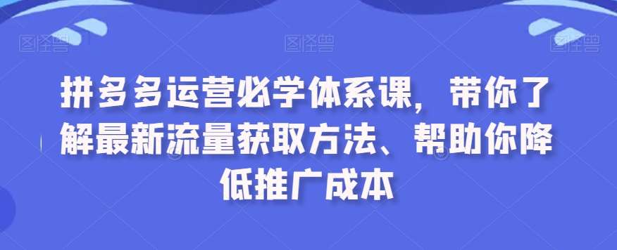 拼多多运营必学体系课，带你了解最新流量获取方法、帮助你降低推广成本|无忧资源社