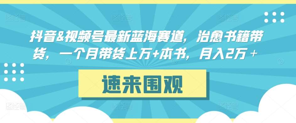 抖音&视频号最新蓝海赛道，治愈书籍带货，一个月带货上万+本书，月入2万＋【揭秘】|无忧资源社
