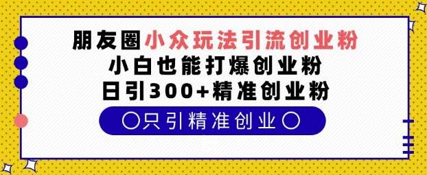 朋友圈小众玩法引流创业粉，小白也能打爆创业粉，日引300+精准创业粉【揭秘】|无忧资源社