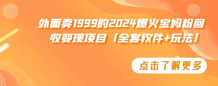 外面卖1999的2024爆火宝妈粉回收变现项目【全套软件+玩法】【揭秘】|无忧资源社
