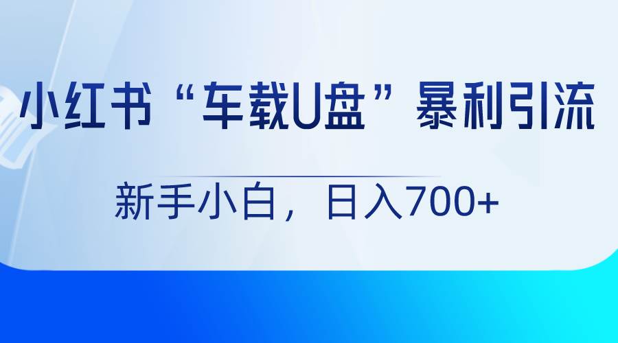 小红书“车载U盘”项目，暴利引流，新手小白轻松日入700+|无忧资源社
