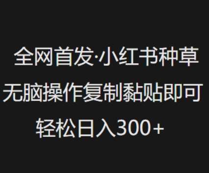 全网首发，小红书种草无脑操作，复制黏贴即可，轻松日入3张|无忧资源社
