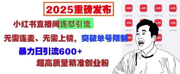 2025重磅发布：小红书直播间连怼引流，无需连麦、无需上镜，突破单号限制，暴力日引流600+|无忧资源社