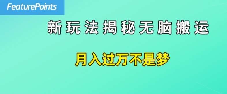 简单操作，每天50美元收入，搬运就是赚钱的秘诀【揭秘】|无忧资源社