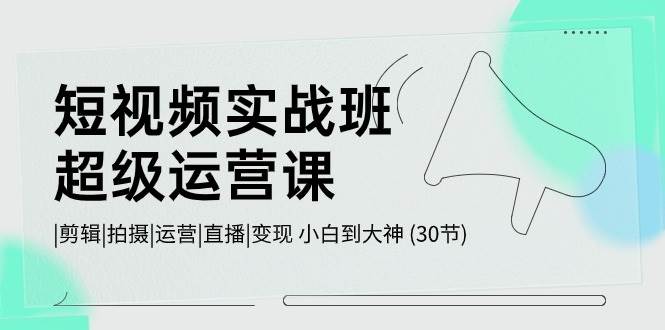 短视频实战班超级运营课 |剪辑|拍摄|运营|直播|变现 小白到大神 (30节)|无忧资源社